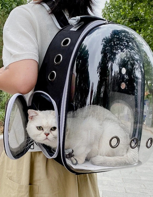 Load image into Gallery viewer, Transparent Cat Carrying Bags Space Breathable Pet Backpack Portable Puppy Dog Backpack Transport Carrier Space Capsule Bag Pets
