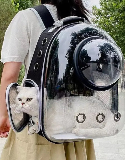Load image into Gallery viewer, Transparent Cat Carrying Bags Space Breathable Pet Backpack Portable Puppy Dog Backpack Transport Carrier Space Capsule Bag Pets
